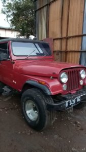 cj 7 tahun 81